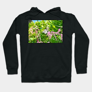 Butterfly Study 8 Hoodie